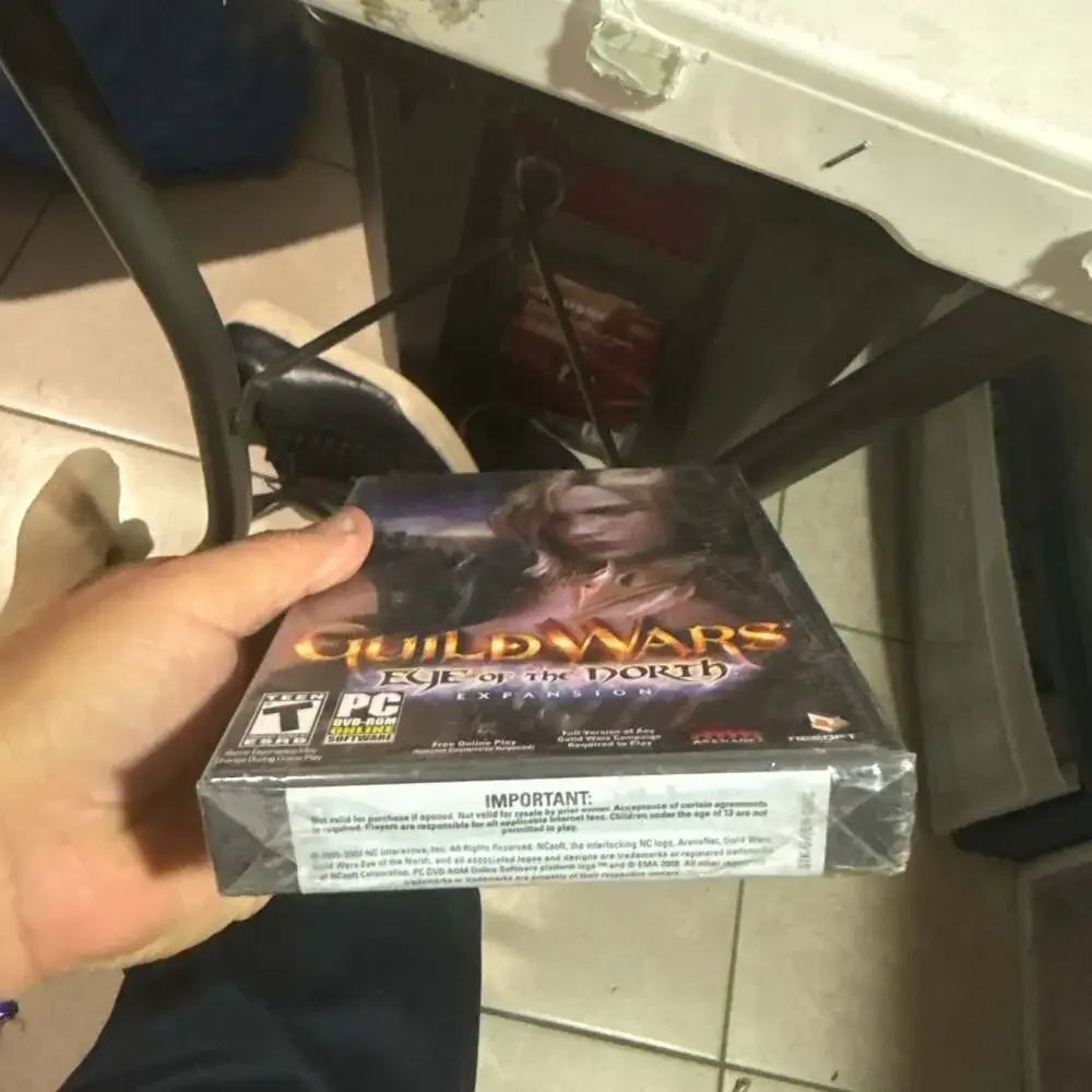 Guild Wars: Eye of the North PC Expansion Pack - Original Big Box Release